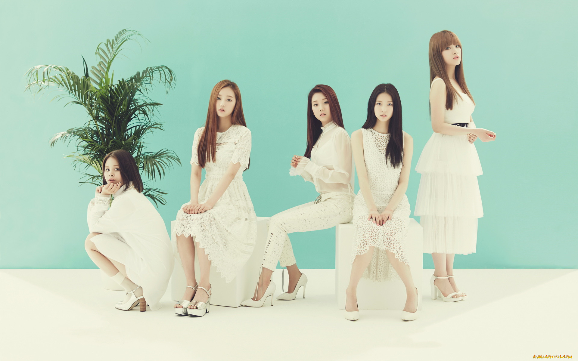 clc, , , , 